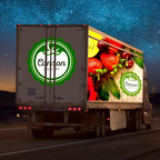 Arlon DPF 2400XLP Reflective Vinyl Film (48 inches)