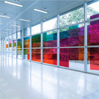 Arlon® DPF 50WD Clear Vinyl Film - SFPlastics&sSignSupply