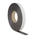 .060''X1.00''X100' MAGNET STRIP
